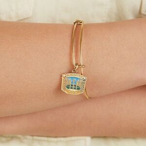 Alex & Ani Harry Potter Quidditch Pitch Charm Bangle – Excellent Used
